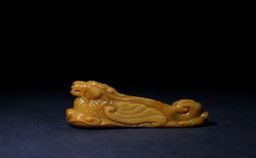 鳌的作文精选6篇