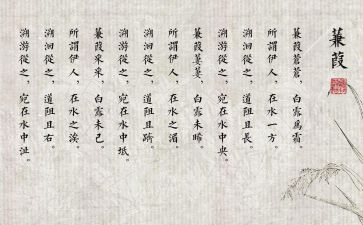 蒹葭的读后感8篇
