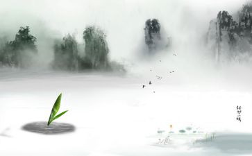 阅读禅的心得体会7篇