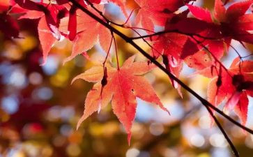 10月安全总结优秀7篇