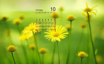 10月团工作计划参考6篇