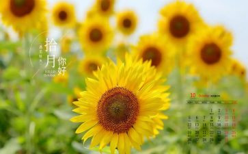 10月月工作总结7篇