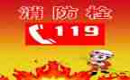 119安全消防月活动总结参考7篇