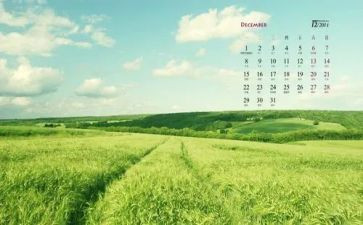 12月大班周工作总结6篇