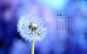 12月六级作文8篇