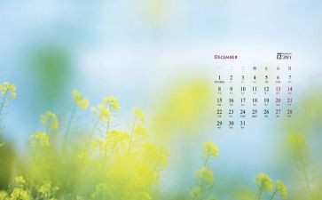 12月六级作文模板8篇