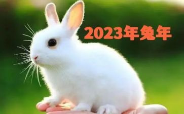 2023榜样7心得体会800字7篇