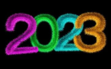 2023年社区病媒生物工作计划5篇