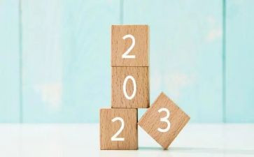 2023年统计人员工作总结8篇