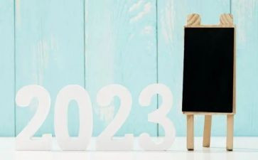 2023年工作述职报告范文5篇