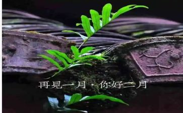 2024年2月工作总结精选5篇