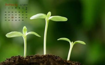 销售2月工作总结5篇