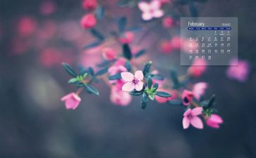 工作2月工作总结模板6篇
