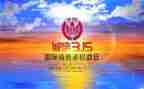 315销售活动总结最新6篇
