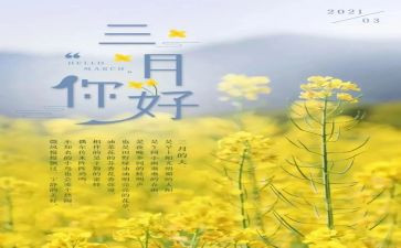 3月8号活动方案8篇
