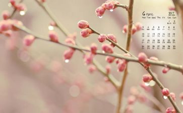 4月份幼儿园大班工作计划5篇
