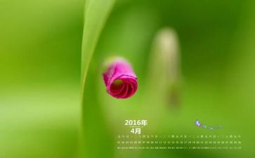 幼儿园4月园务工作计划6篇