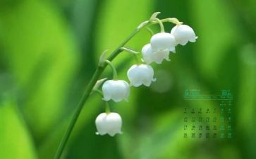 4月伤工作总结5篇
