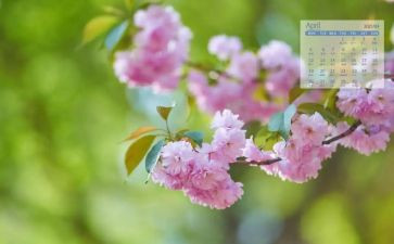 4月分安全生产工作总结最新7篇