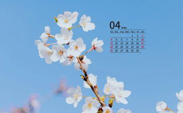 4月伤工作总结优秀6篇