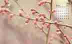 4月份幼儿园大班工作计划5篇