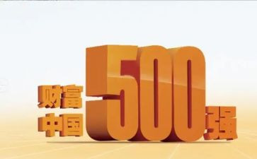 进入500强工作总结8篇