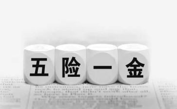 有5险1金的工作计划通用5篇