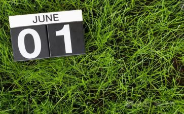 幼儿园6月工作计划8篇