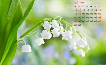 6月党日活动总结参考5篇