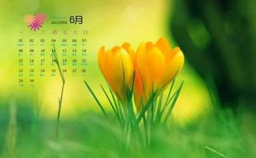 6月党日主题活动方案7篇