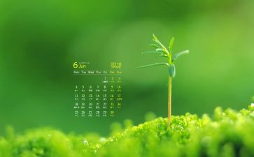 2024年小班6月工作总结5篇
