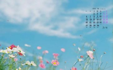 幼儿园6月教师工作总结5篇