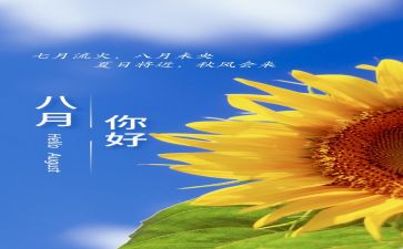 8月份安全总结5篇
