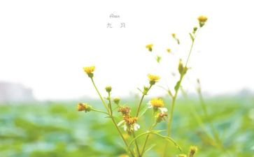 幼儿园9月份月计划6篇