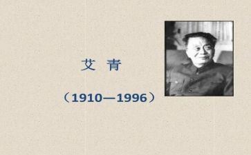 艾青诗选《街》读后感模板8篇
