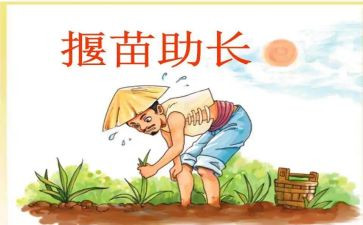 拔苗助长作文6篇