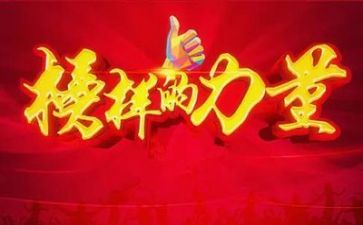 立榜样活动总结8篇