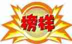 我的榜样作文800字5篇
