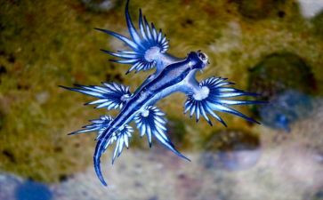 中学生物教师个人总结5篇