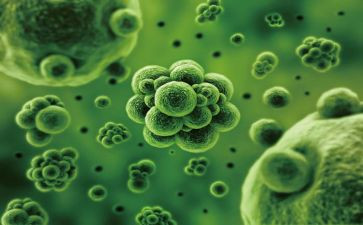 生物安全工作总结5篇