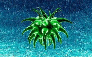 高中生物教学总结与反思5篇