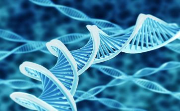 初二上学期生物工作总结6篇