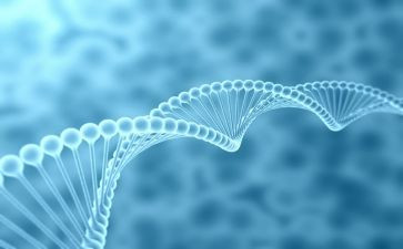 生物柜工作总结优秀8篇