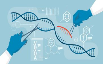 生物教师述职报告范文6篇