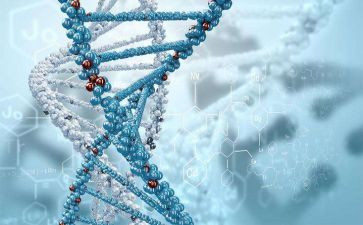 七上生物教案优秀7篇
