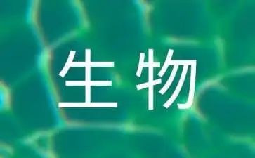 生物教师个人年度总结6篇