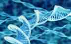 初二生物教师工作总结5篇