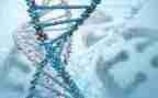 八上生物调查报告5篇