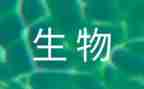 生物柜工作总结模板6篇