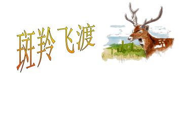 斑羚飞渡的读后感7篇